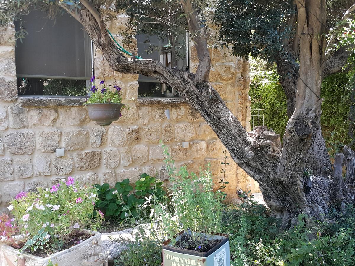 Hotel The House Of Taly & Erez Netaim Exteriér fotografie